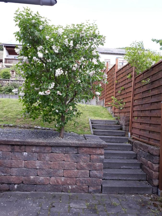 Ferienwohnung Saarblick Ockfen Екстериор снимка